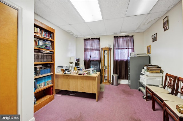 carpeted office space with a drop ceiling