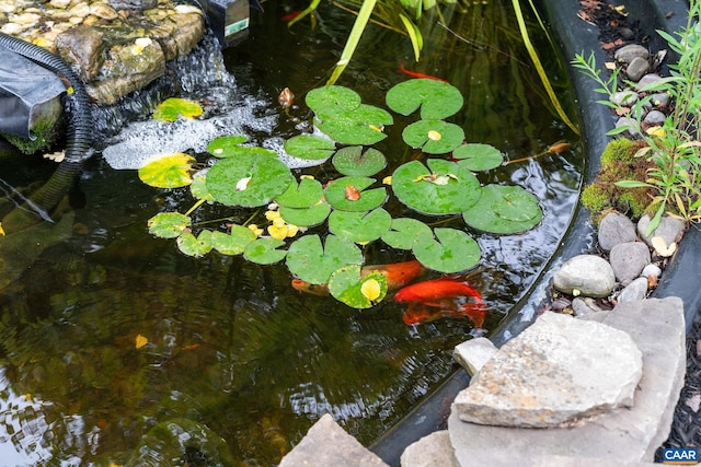 details with a small pond