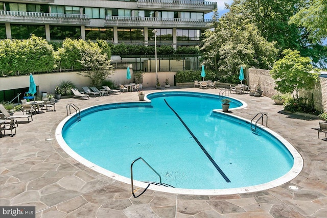 view of pool with a patio area