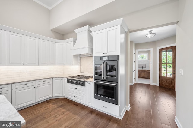 kitchen featuring dark hardwood / wood-style flooring, custom range hood, tasteful backsplash, white cabinetry, and appliances with stainless steel finishes