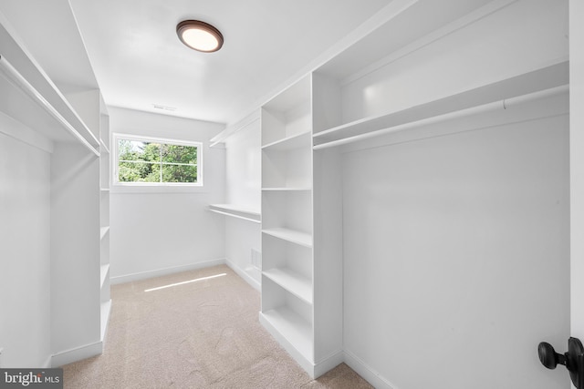 walk in closet featuring light carpet