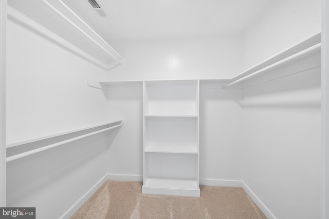 spacious closet with carpet floors