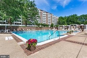 view of swimming pool with a patio area