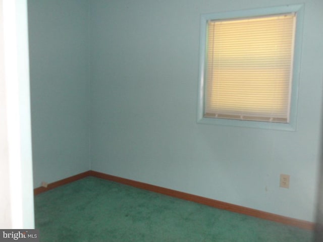 spare room featuring carpet