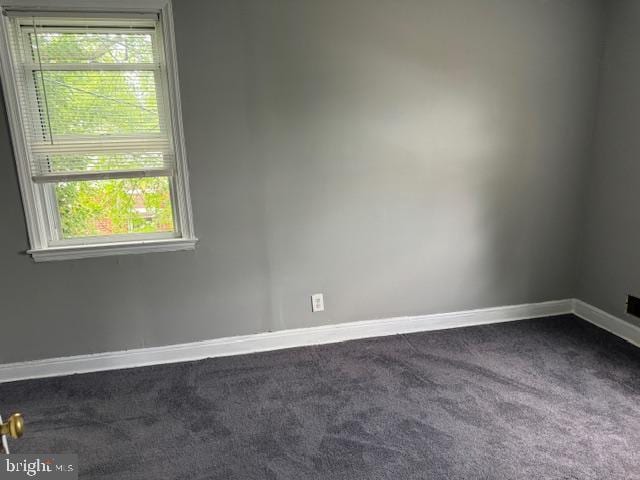 empty room featuring carpet floors