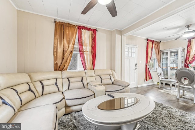 living room featuring a healthy amount of sunlight, crown molding, and dark wood-type flooring