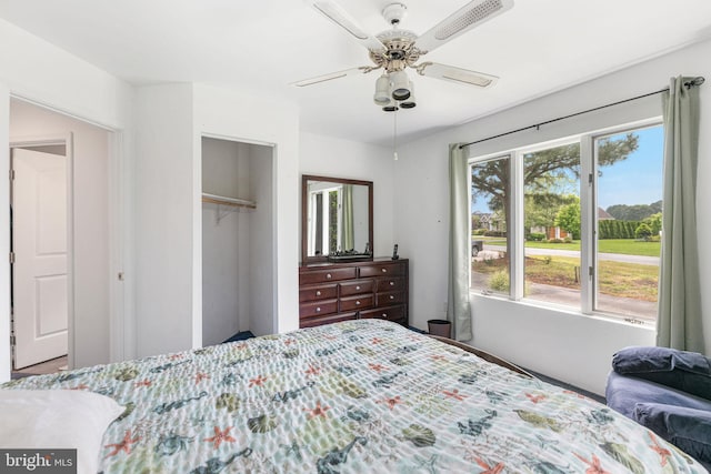 bedroom with a closet, ceiling fan, and multiple windows