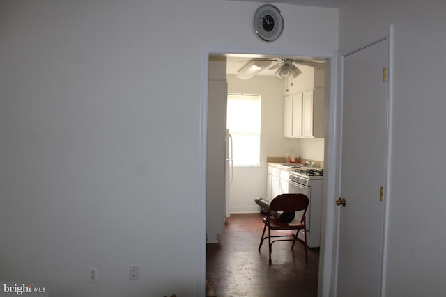 hall featuring dark hardwood / wood-style flooring