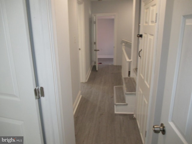 hallway featuring dark hardwood / wood-style flooring