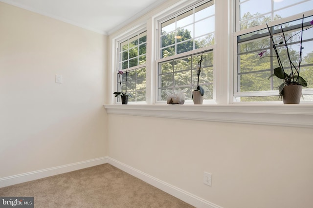 empty room with carpet flooring and crown molding