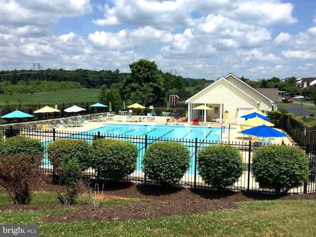 view of pool with a patio area