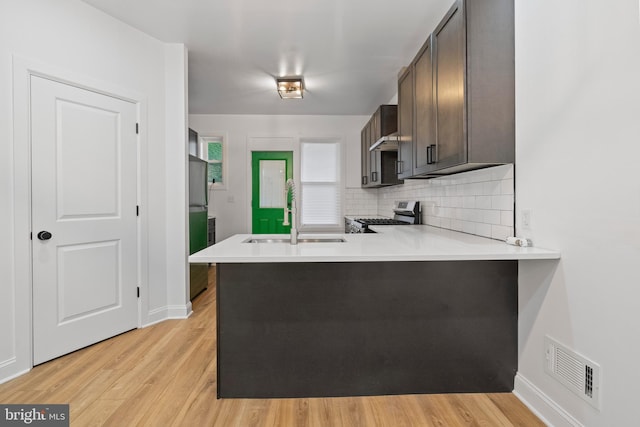 kitchen with sink, kitchen peninsula, light hardwood / wood-style flooring, dark brown cabinetry, and stainless steel appliances