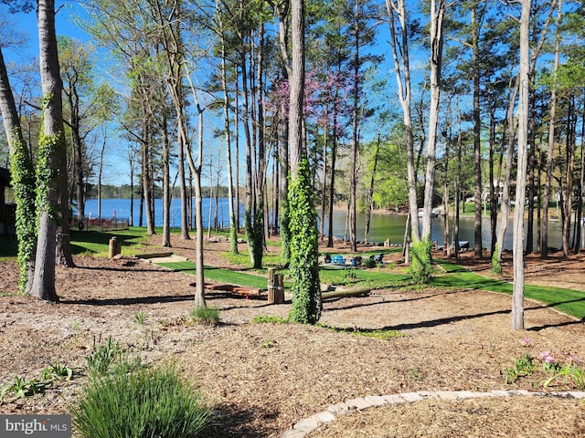 view of property's community featuring a water view