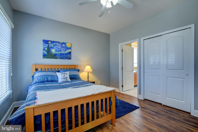 bedroom featuring baseboards, multiple windows, and wood finished floors