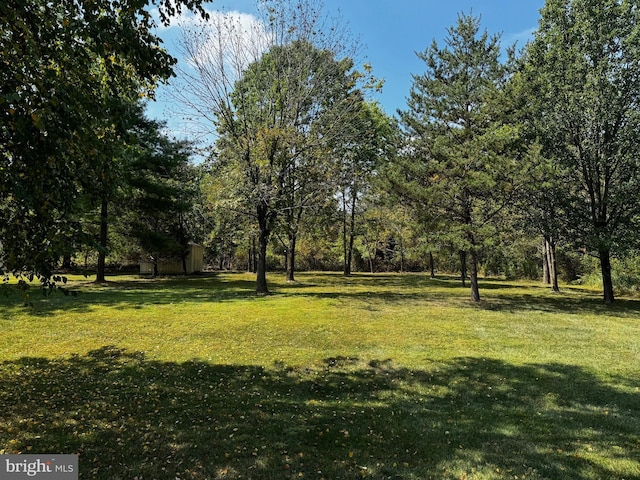 view of yard featuring an outbuilding and a storage unit