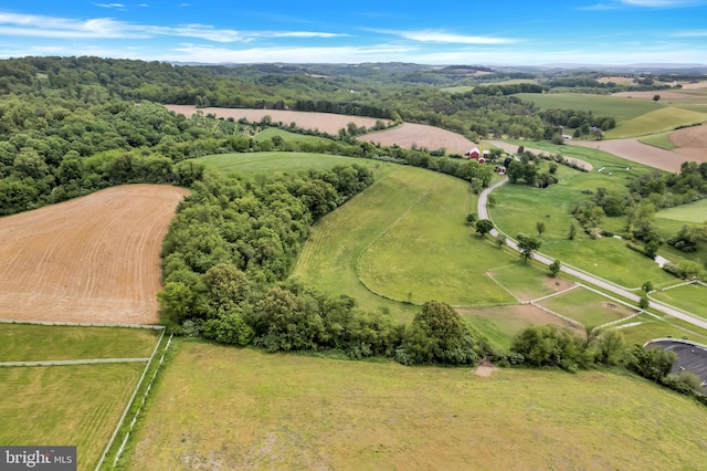 bird's eye view with a rural view