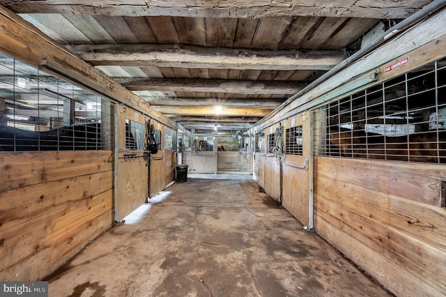 view of horse barn