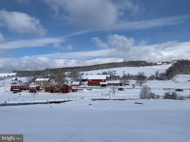 view of snowy yard