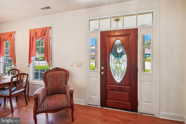 entrance foyer featuring hardwood / wood-style floors