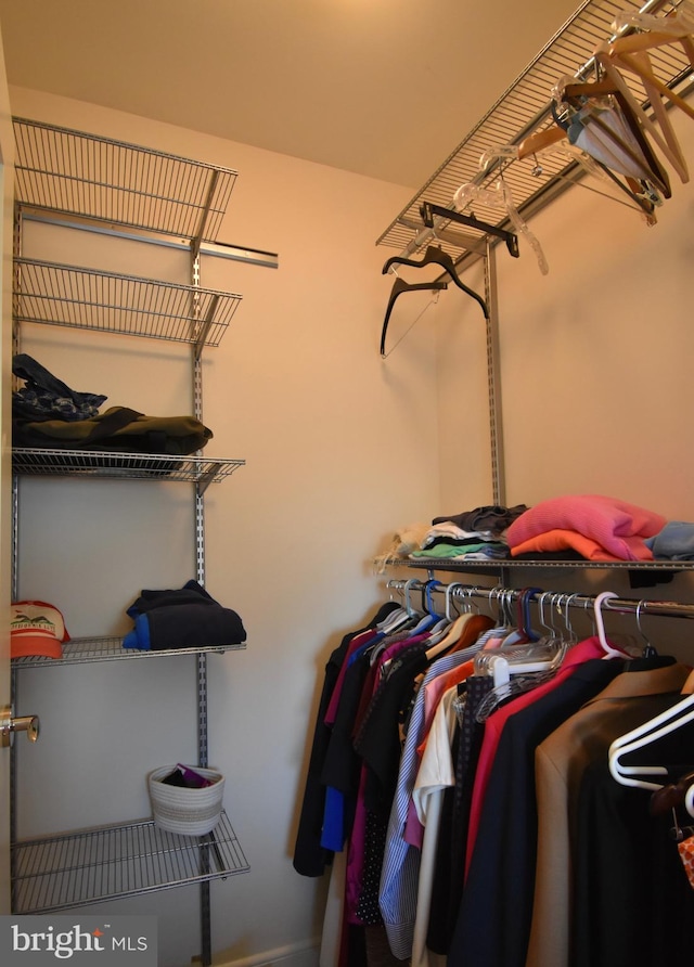 view of walk in closet