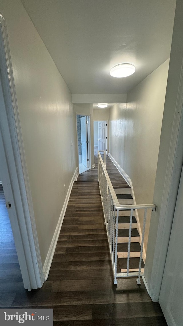 hallway with dark hardwood / wood-style floors