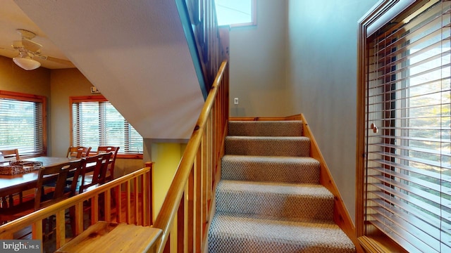 stairs with ceiling fan