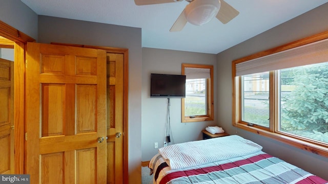 bedroom with ceiling fan and carpet floors