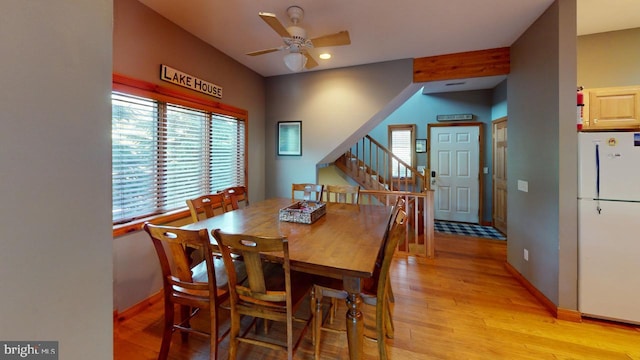 dining room with light hardwood / wood-style flooring and ceiling fan