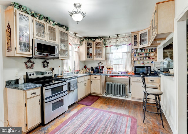 kitchen featuring radiator heating unit, dark wood-type flooring, plenty of natural light, and appliances with stainless steel finishes