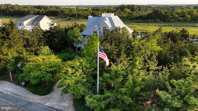 bird's eye view