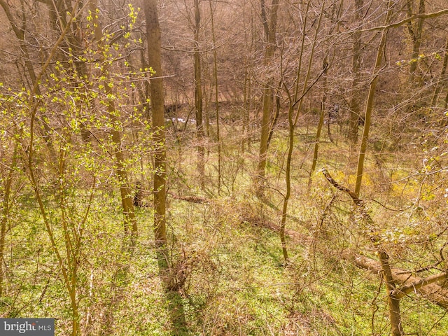 view of landscape