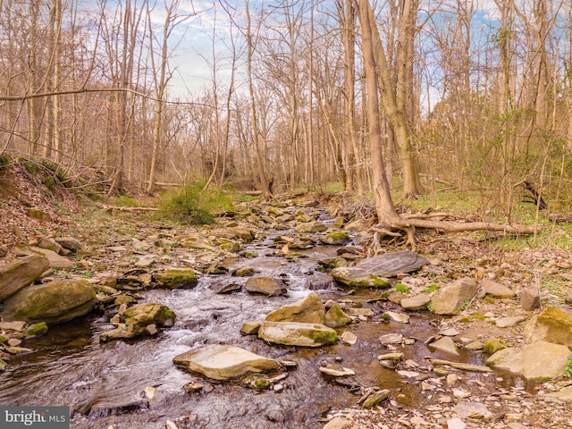 view of local wilderness