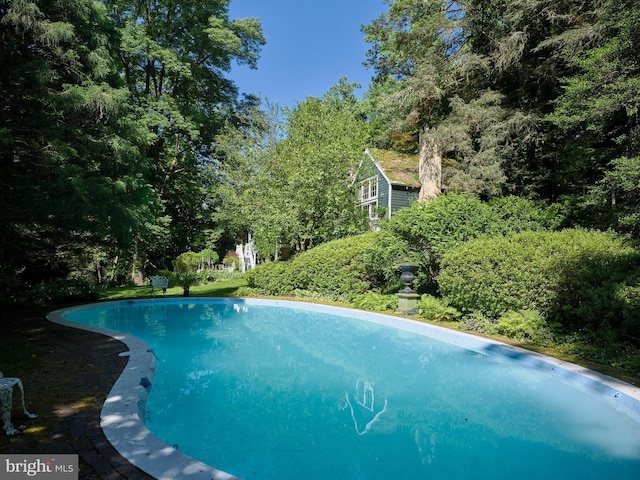 view of swimming pool