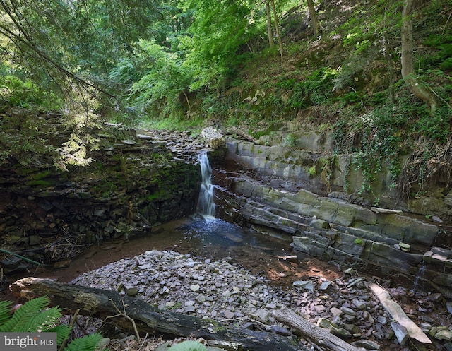 view of local wilderness