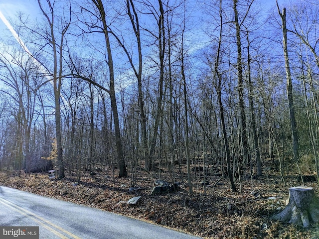 view of road