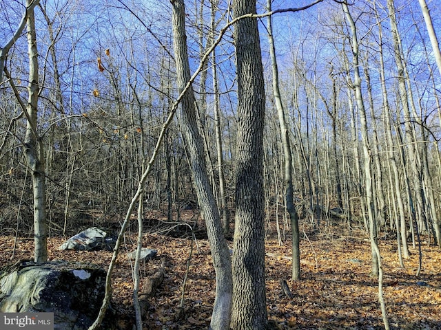 view of landscape