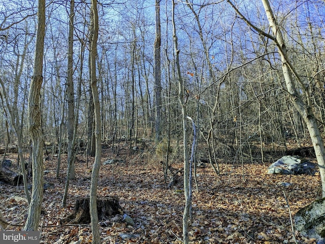 view of local wilderness