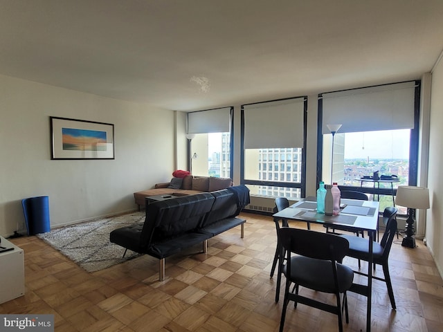 living room with radiator