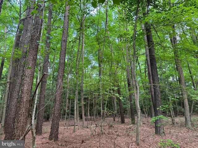 0 Rising Eagle, Mardela Springs, MD 21837