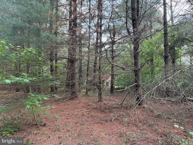 0 Rising Eagle, Mardela Springs, MD 21837