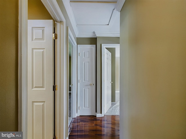 hall featuring dark hardwood / wood-style floors and ornamental molding