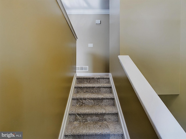 staircase with carpet and ornamental molding