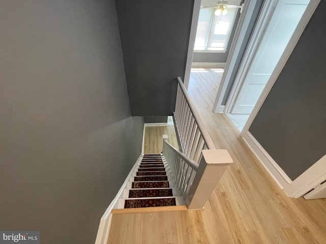 staircase with wood-type flooring