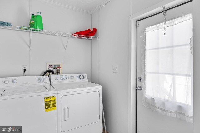 washroom featuring crown molding and independent washer and dryer