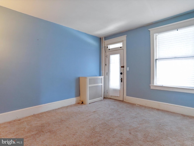 interior space with light carpet and plenty of natural light