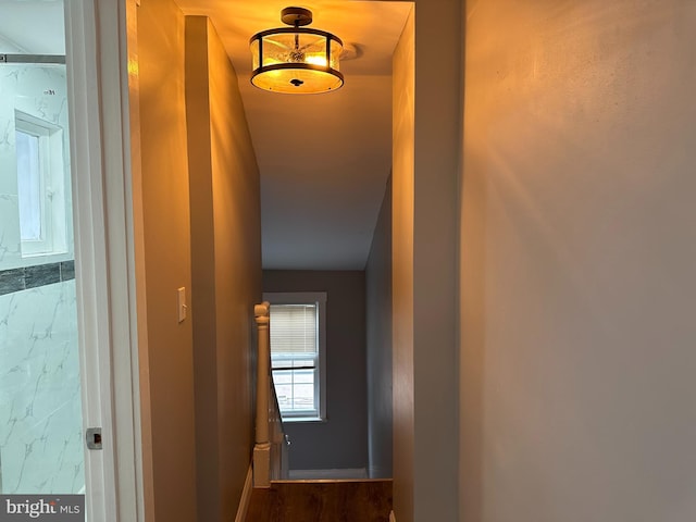 corridor featuring hardwood / wood-style flooring