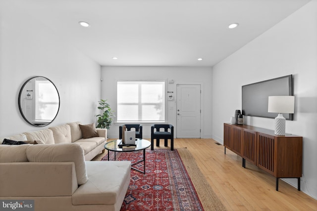 living room featuring light hardwood / wood-style flooring