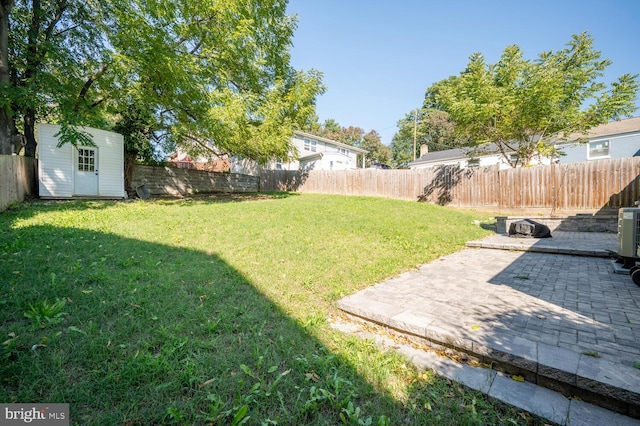 view of yard featuring a patio and a storage unit