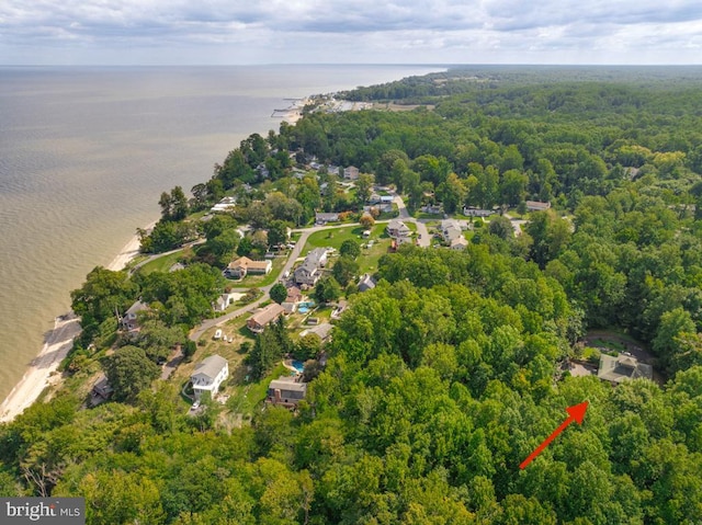 bird's eye view featuring a forest view and a water view