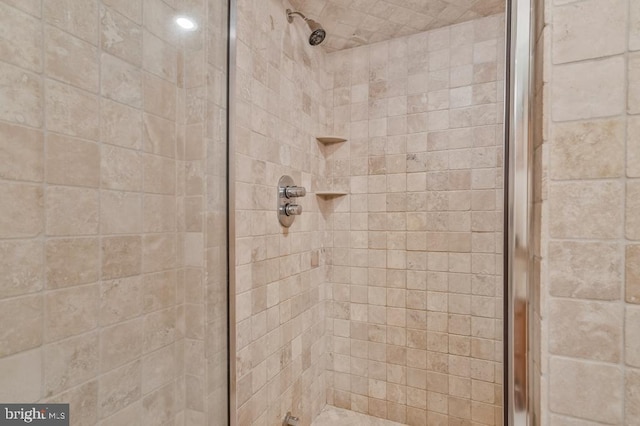 bathroom featuring a shower stall